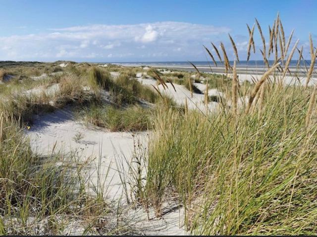 Seeblick Lachmoewe, Exklusive Lage In Strandnaehe วังเกร์โอเกอ ภายนอก รูปภาพ